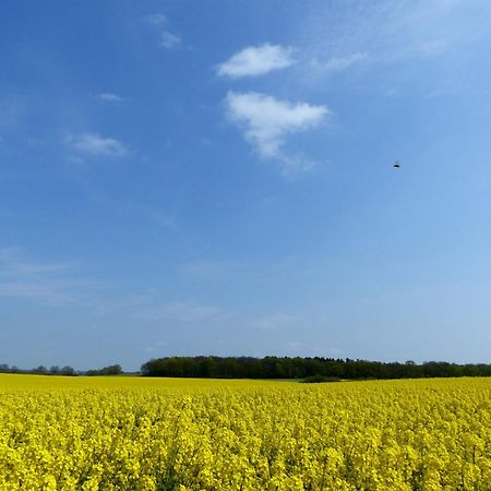 Hof Sorgenlos Gross Gievitz エクステリア 写真