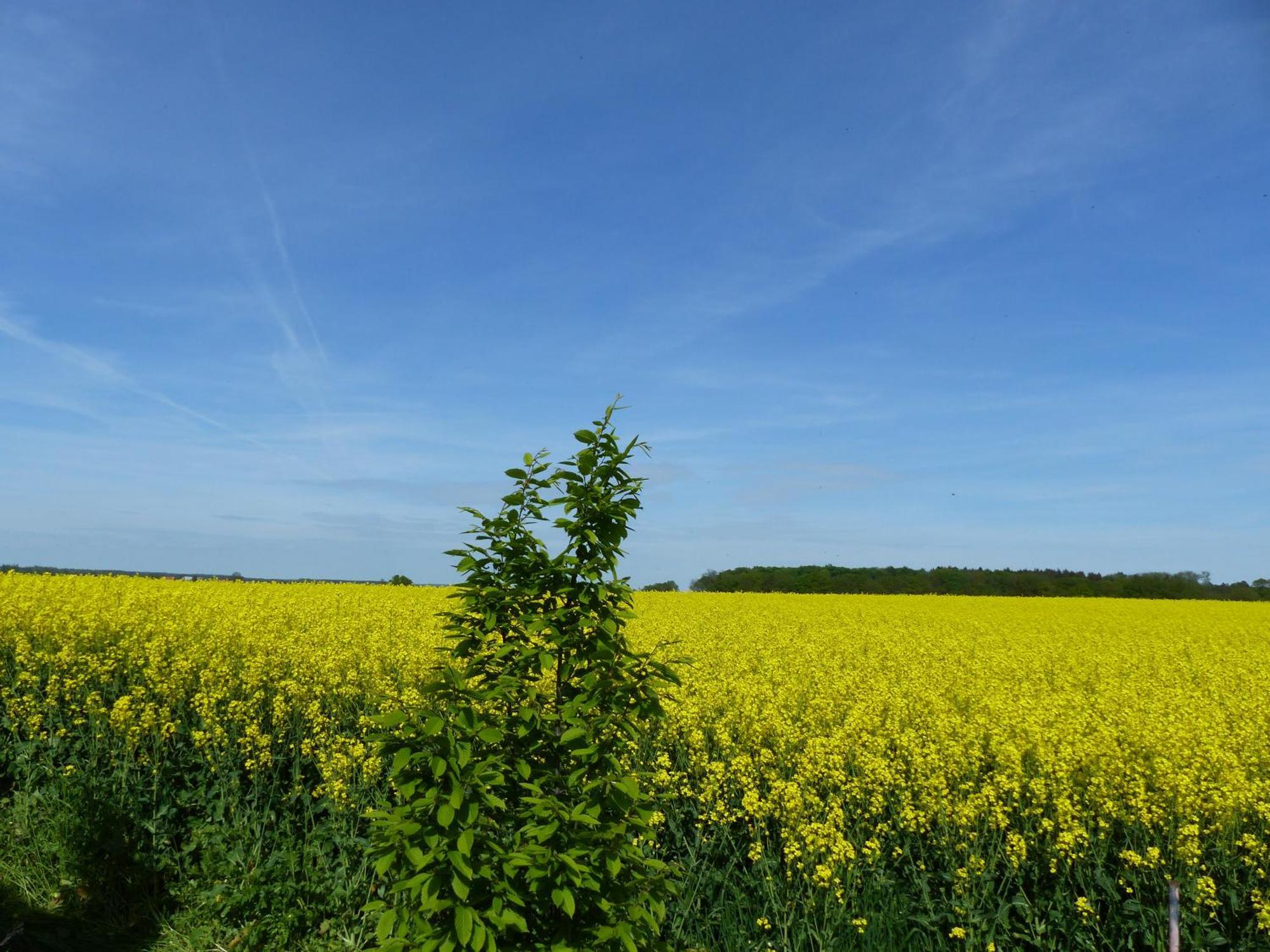 Hof Sorgenlos Gross Gievitz エクステリア 写真