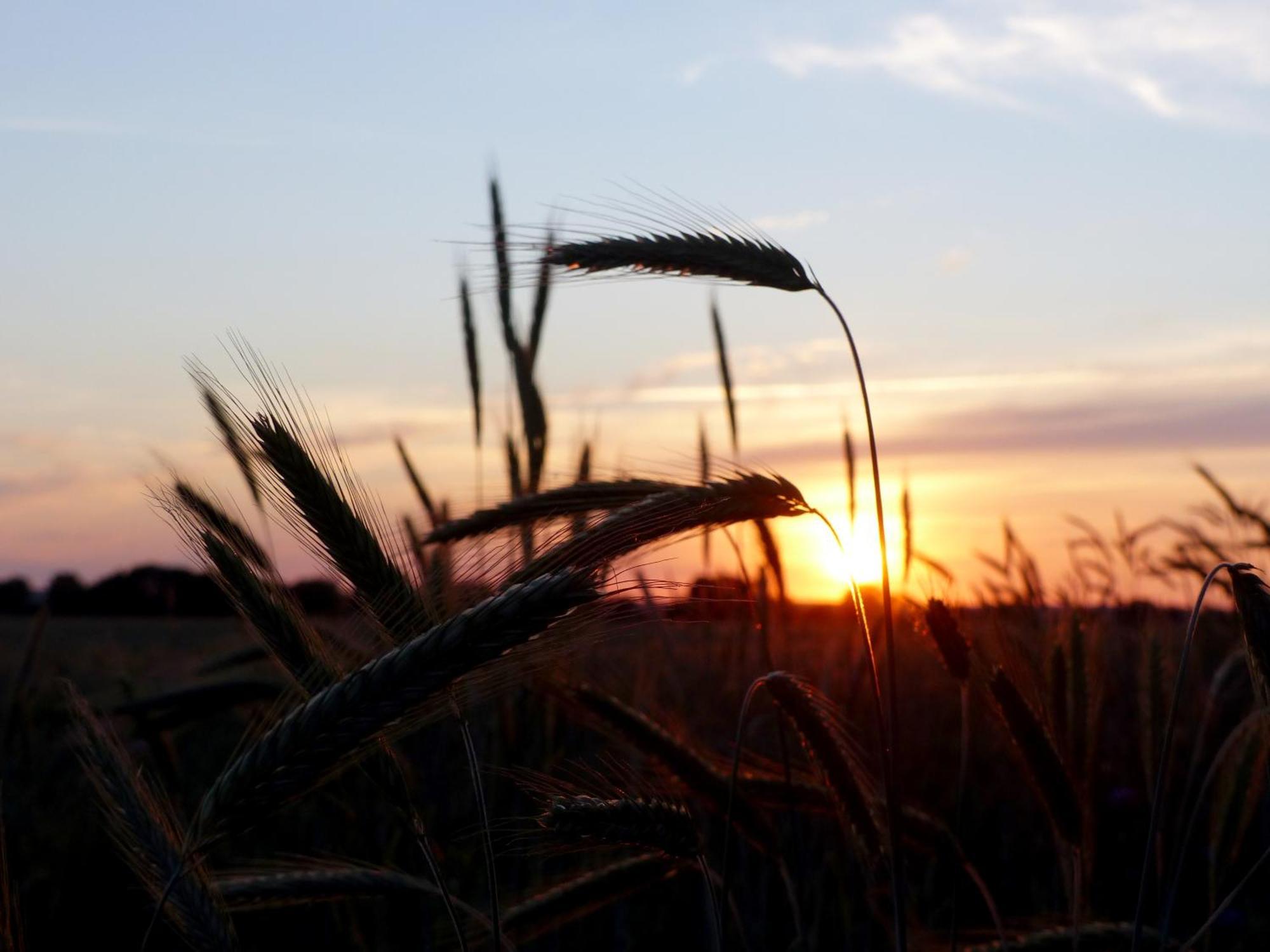 Hof Sorgenlos Gross Gievitz エクステリア 写真